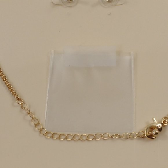 Sophia & Kate Animal Print Necklace & Earrings - Picture 4 of 4